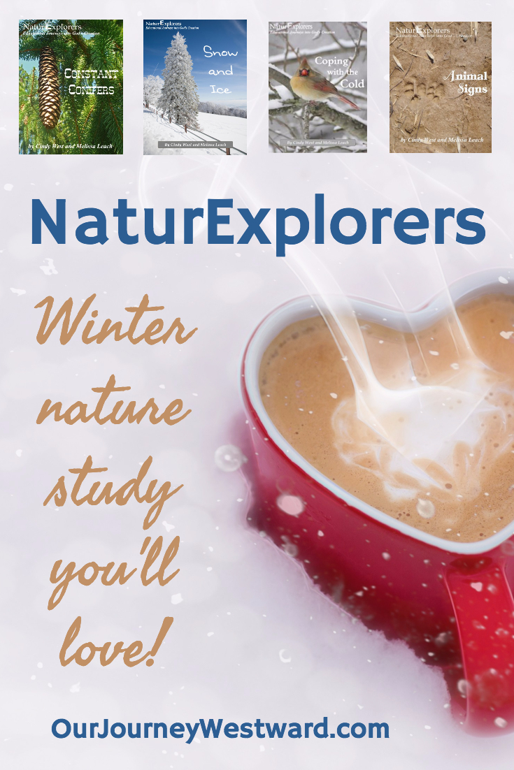 Winter NaturExplorers 735x1102 (Pinterest)