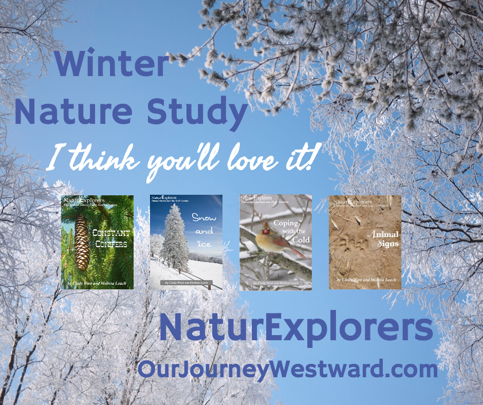 Winter NaturExplorers 940x788 (Facebook)